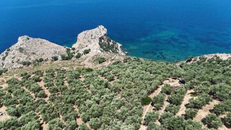 Ravdoucha MIT VIDEO Kreta, Ravdoucha: Premium-Hanggrundstück nahe am Meer mit erteilter Baugenehmigung und traumhaftem Meerblick kaufen